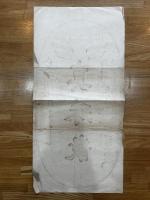 真珠散　新潟県下 竹山祐一製 (薬：引札、ポスター、広告)