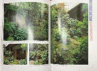 露地 : その作り方と露地作法
