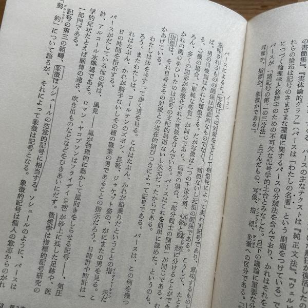 映画における意味作用に関する試論: 映画記号学の基本問題 (叢書