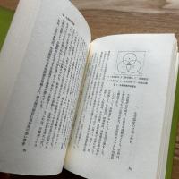 精神分裂病の精神療法