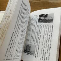 史実と口伝による沖縄の空手・角力名人伝