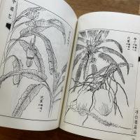 沖縄志 : 琉球志