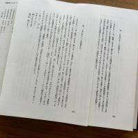 球陽論叢