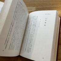 日本文学から見た琉歌概論