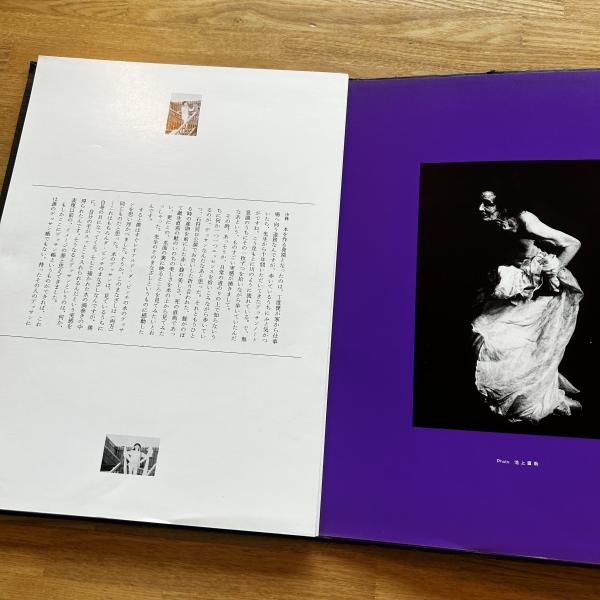 サイン画集 古澤岩美 『古澤岩美デッサン集1970』 【公式通販】