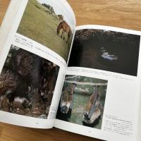沖縄の生物 : 生態写真集