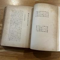吉岡弥生傳