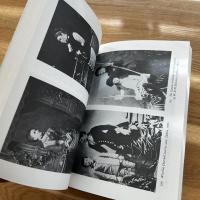 Victorian & Edwardian fashion : a photographic survey 英文