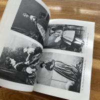 Victorian & Edwardian fashion : a photographic survey 英文