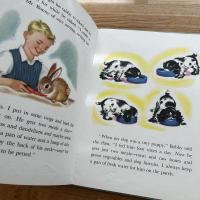 Pets Anna Ratzesberger　英文