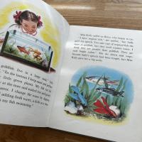 Pets Anna Ratzesberger　英文