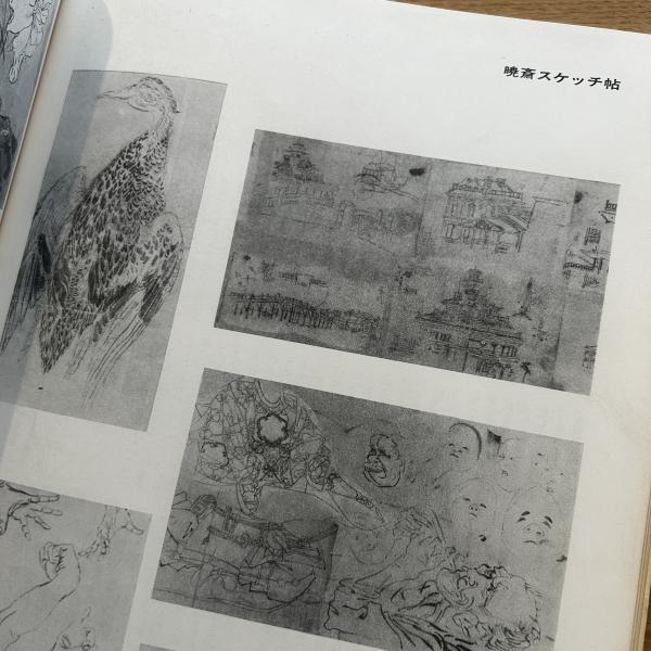 猩々狂斎伝 : ニッポンの画鬼(福富太郎 著) / ブックセンター