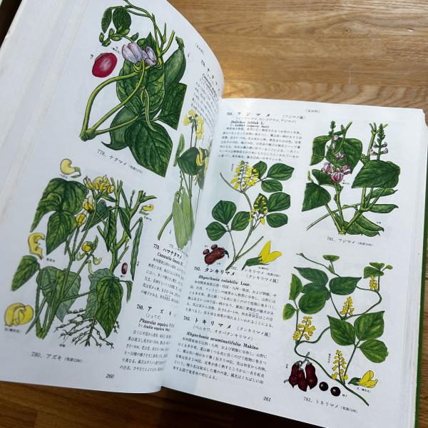 原色牧野日本植物図鑑(牧野富太郎 著) / 古本、中古本、古書籍の