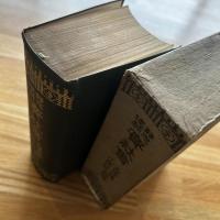実社会 : 静思健闘