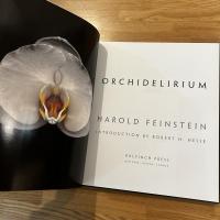 ORCHIDELIRIUM HAROLD FEINSTEIN / ハロルド・フェインスタイン写真集 英文