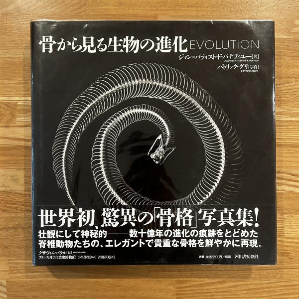 骨から見る生物の進化(ジャン=バティスト・ド・パナフィユー 著