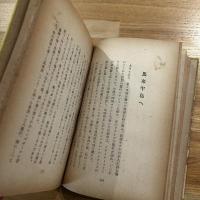 南方昆虫紀行
