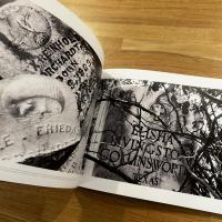 The Graphic Eye　英文