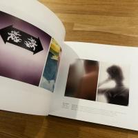 The Graphic Eye　英文