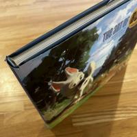 The Art of Bolt 英文