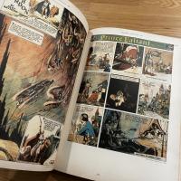 The Smithsonian collection of newspaper comics