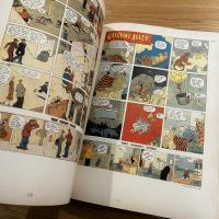 The Smithsonian collection of newspaper comics