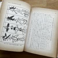 児童画の読み方 : 知性と発達段階の研究