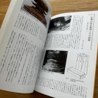 仏像修理100年 : 特別展