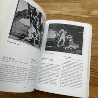 Goya Traum und wirklichkeit