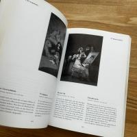 Goya Traum und wirklichkeit