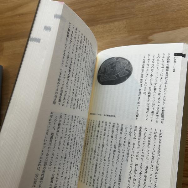 懐疑論者の事典 上下 (ロバート・T.キャロル 著 ; 小久保温