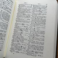 和英語林集成 : A JAPANESE AND ENGLISH DICTIONARY with an English and Japanese Index