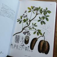 原色精密日本植物図譜