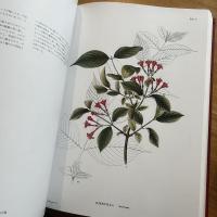 原色精密日本植物図譜