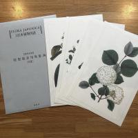 原色精密日本植物図譜