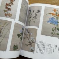 日本の博物画 : 花よ、鳥よ、魚たちよ…自然を描く 英国王室秘蔵マーク・ケイツビーと日本の博物画 特別展示