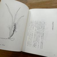 私の植物図鑑