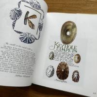 Neptune's Garden: Shells from A to Z