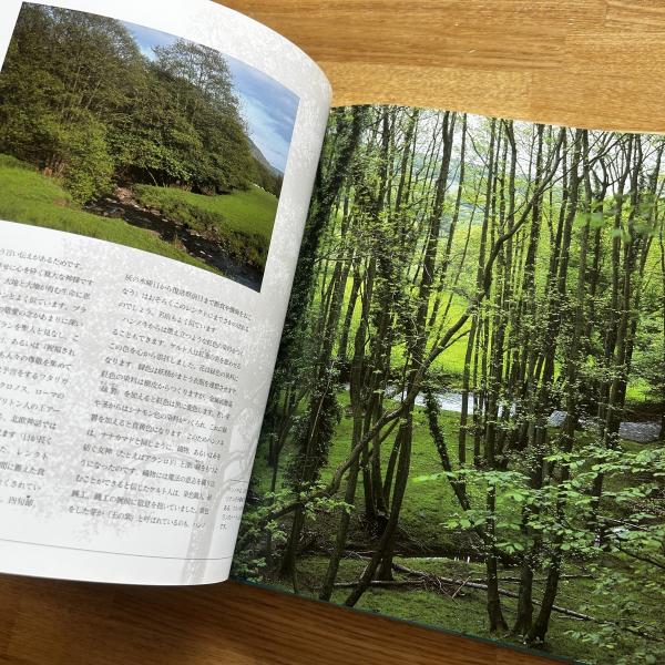 ケルトの木の知恵 | ジェーン ギフォード, 井村 君江, 井村 君江