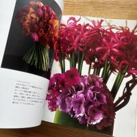 花の向こうに