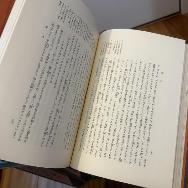 新々訳 源氏物語 全10巻+別巻 計11冊揃 谷崎潤一郎訳 中央公論社 
