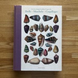 Shells  Muscheln Coquillages (貝類図譜)　（独文）