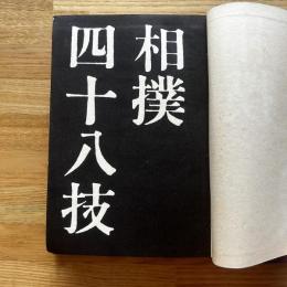 相撲四十八技