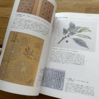 森羅万象に遊ぶ : 江戸の科学と好奇心 : 開館10周年記念特別展
