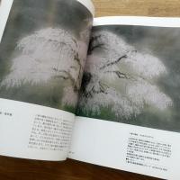 中島千波の桜屏風