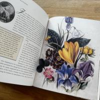 WOMEN of FLOWERS