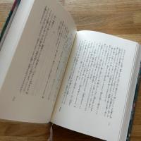 龍蜂集　泉鏡花セレクション1