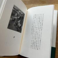 あるかなしかの町