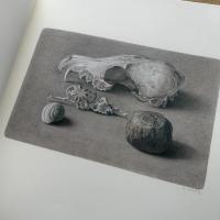 野田弘志画集