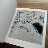 池田満寿夫全版画作品集